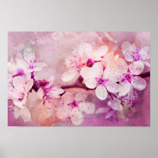 Poster Aquarelle Cherry Blossom