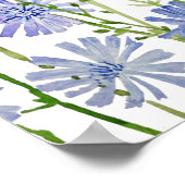 Poster aquarelle chicorée violette (Coin)