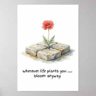 Poster Aquarelle Coquelicot Où que la vie vous plante