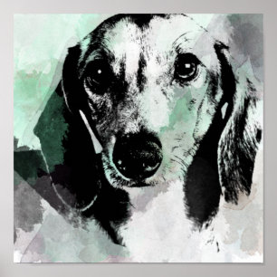 Poster Aquarelle Dachshund Imprimer.