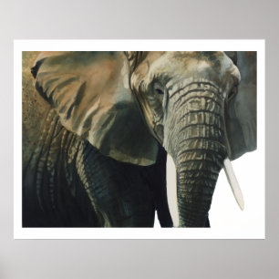 Poster Aquarelle d'animal de faune de "éléphant"