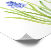 Poster aquarelle de cépage bleu hyacinthe 2023 (Coin)