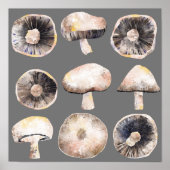 Poster Aquarelle de champignon (Devant)