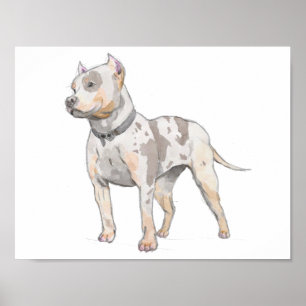 Poster Aquarelle de chien taureau blanc Sketch