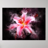 Poster Aquarelle de fleur de Stargazer - bb 01 (Devant)