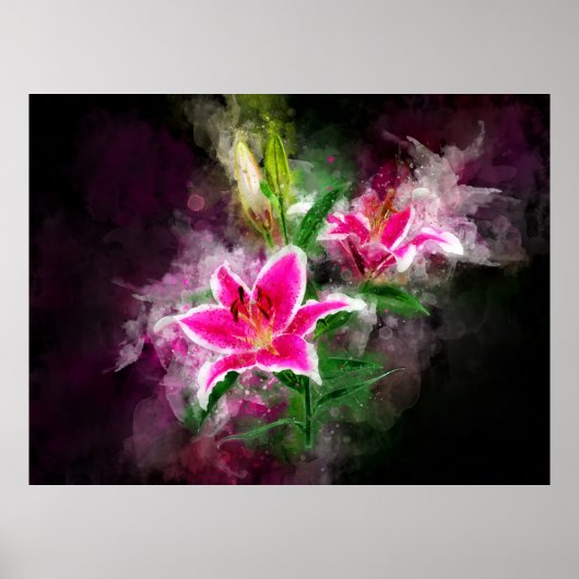 Poster Aquarelle de fleur de Stargazer Lily - bb 02 (Devant)