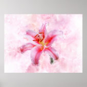 Poster Aquarelle de fleur de Stargazer Lily - wb 01 (Devant)