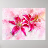 Poster Aquarelle de fleur de Stargazer Lily - wb 03 (Devant)