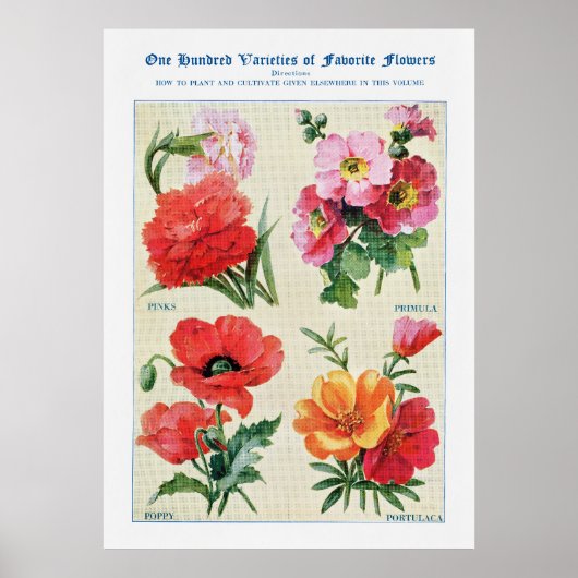 Poster Aquarelle de fleurs 3 (Devant)