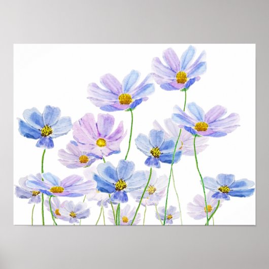 Poster aquarelle de fleurs cosmos pourpre et bleu (Devant)