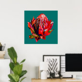 Poster Aquarelle de fleurs indigènes de Waratah (Bureau à domicile)