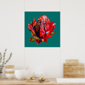 Poster Aquarelle de fleurs indigènes de Waratah (Cuisine)