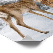Poster Aquarelle de la famille des cerfs (Coin)