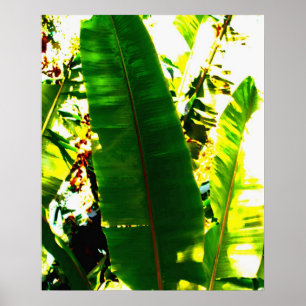 Poster Aquarelle de paume