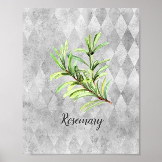 Poster Aquarelle de romarin (Devant)