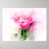 Poster Aquarelle de rose rose sur fond blanc (Devant)