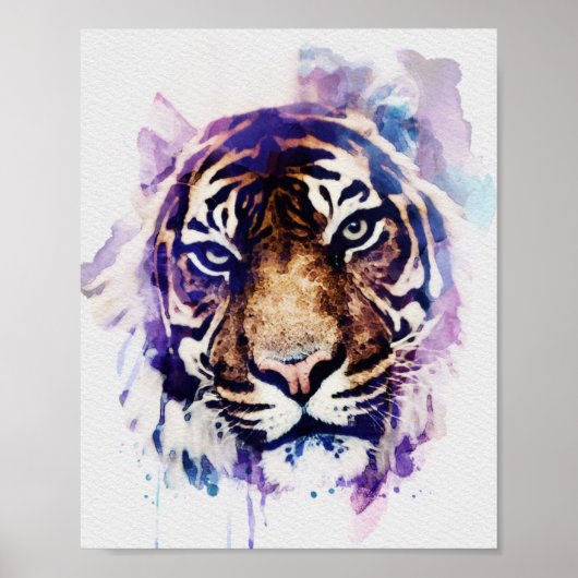 Poster Aquarelle de tigre (Devant)