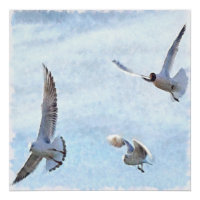 Aquarelle de trois mouettes
