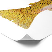 Poster Aquarelle de truite fardée du versant ouest (Coin)