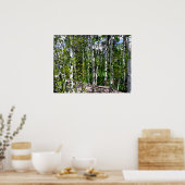 Poster Aquarelle des bouleaux sur toile 24x18 (Cuisine)