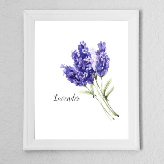 Poster Aquarelle des fleurs de lavande