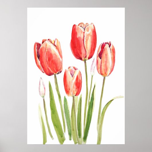 Poster aquarelle des tulipes orange (Devant)