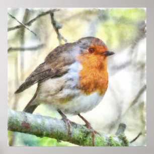 Poster Aquarelle d'hiver Robin de Noël