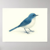 Poster Aquarelle d'Oiseau bleu (Devant)