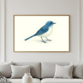 Poster Aquarelle d'Oiseau bleu