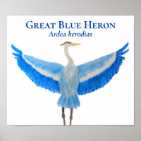 Aquarelle d'oiseau scientifique Grand Héron bleu