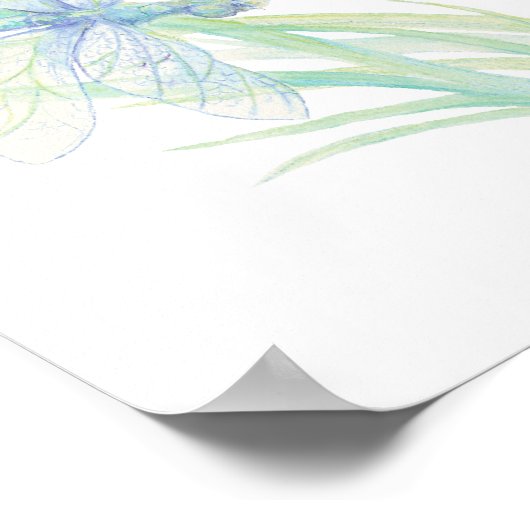 Poster Aquarelle Dragonfly Scripture Timothée Encourager (Coin)