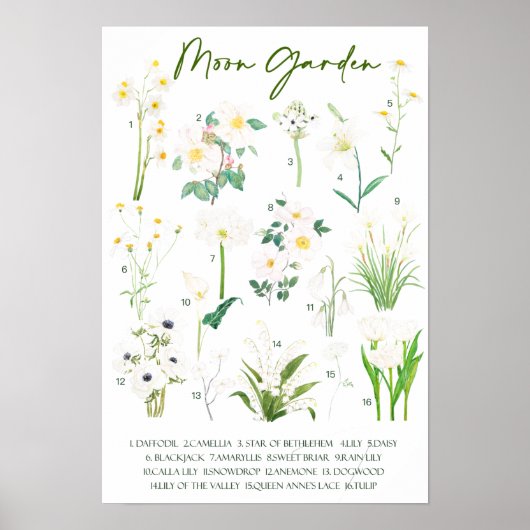 Poster Aquarelle du jardin de la lune (Devant)