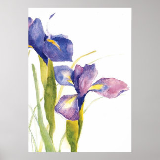 Poster Aquarelle en fer floral