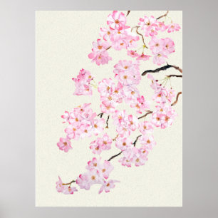Poster Aquarelle en fleur de cerisier rose 2024
