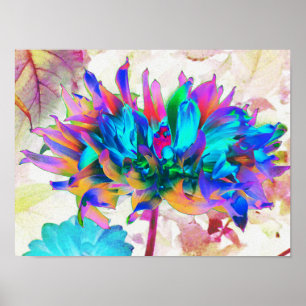 Poster Aquarelle étonnante Rainbow Cactus Dahlia