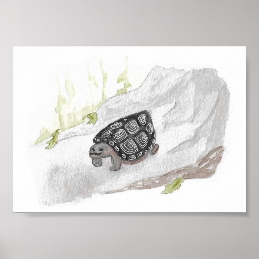 Poster Aquarelle Faune Nature Tortue des forêts (Devant)