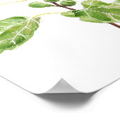 Poster aquarelle feuille de figues vertes (Coin)