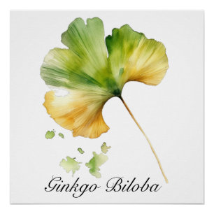 Poster Aquarelle feuille de Ginkgo Biloba Botanique Bien-