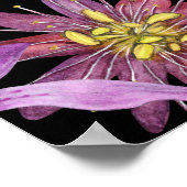 Poster Aquarelle Feuilles tropicaux : Motif transparent (Coin)