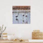 Poster Aquarelle Flamant rose Pose (Cuisine)