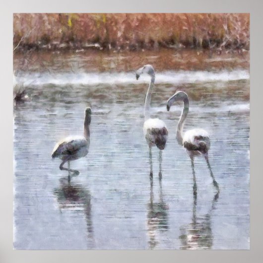 Poster Aquarelle Flamant rose Pose (Devant)