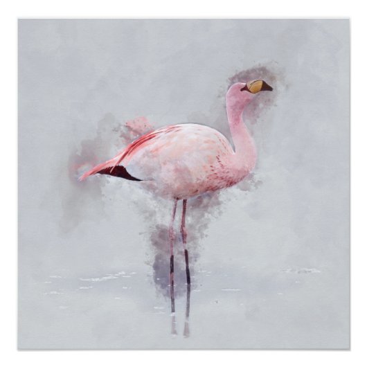 Poster Aquarelle Flamant rose rose (Devant)