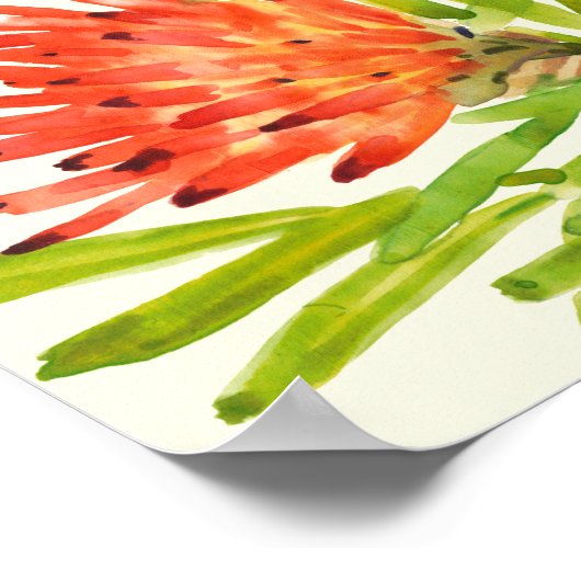 Poster Aquarelle Fleurs tropicales (Coin)