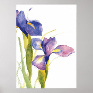 Poster Aquarelle florale d'iris