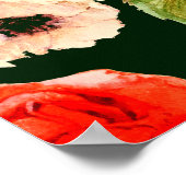 Poster Aquarelle florale motif transparent. Pavot blanc (Coin)