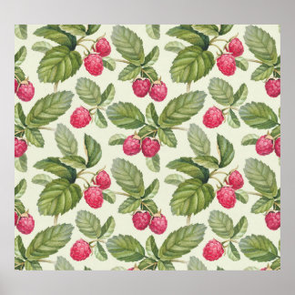 Poster Aquarelle Framboise Motif sans couture