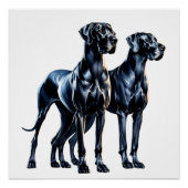 Poster Aquarelle Great Danes (Devant)
