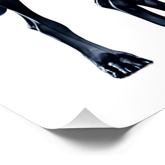 Poster Aquarelle Great Danes (Coin)