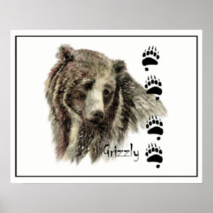 Poster Aquarelle Grizzli Ours Animal Nature Art
