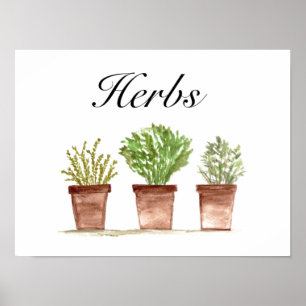 Poster Aquarelle Herbes Thyme Rosemary Parsley Plantes